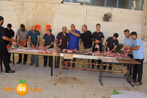 dabe7 ludj31 (18).JPG